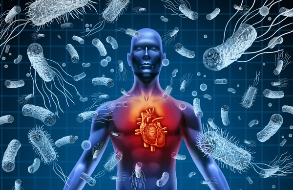 Tubuh Sering Terpapar Racun Saatnya Andalkan Suplemen Detoks Liver