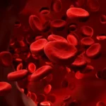 afiapro melancarkan sirkulasi darah