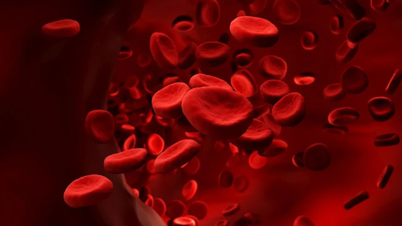 afiapro melancarkan sirkulasi darah