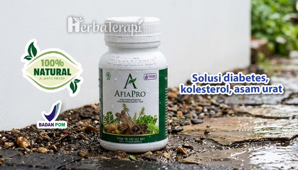 afiapro Afiapro untuk lansia