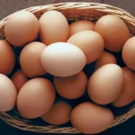 afiapro Penderita Kolesterol Makan Telur