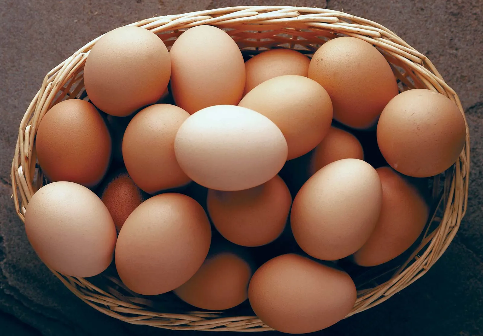 afiapro Penderita Kolesterol Makan Telur