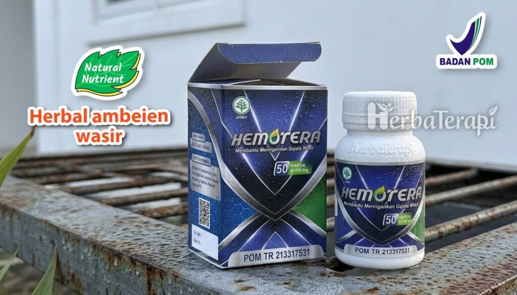 hemotera mencegah ambeien saat hamil