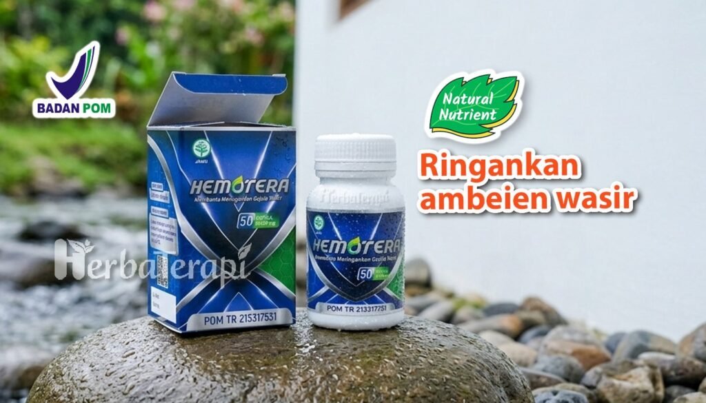 hemotera obat ambeien terbaik