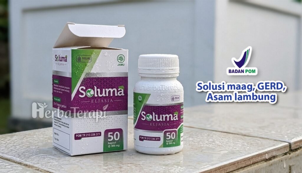 soluma makanan pemicu asam lambung