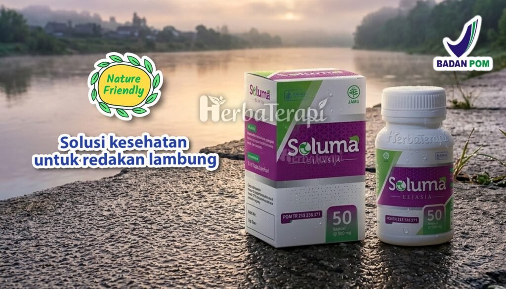 soluma radang lambung