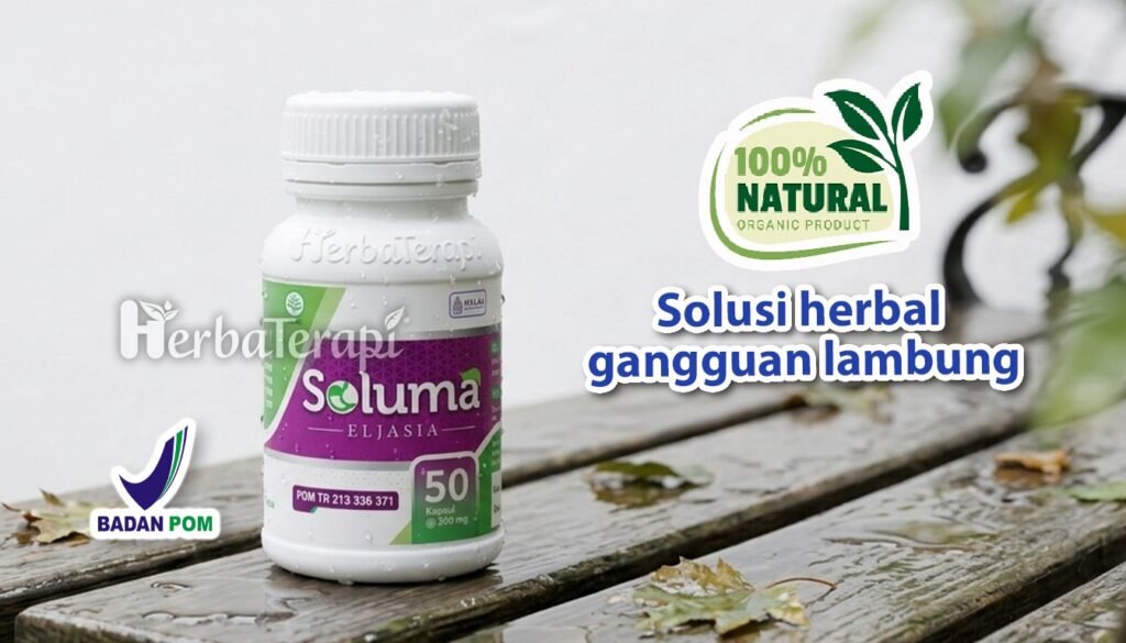 soluma cara menurunkan asam lambung