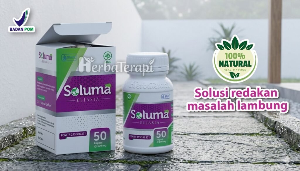 soluma makanan fermentasi