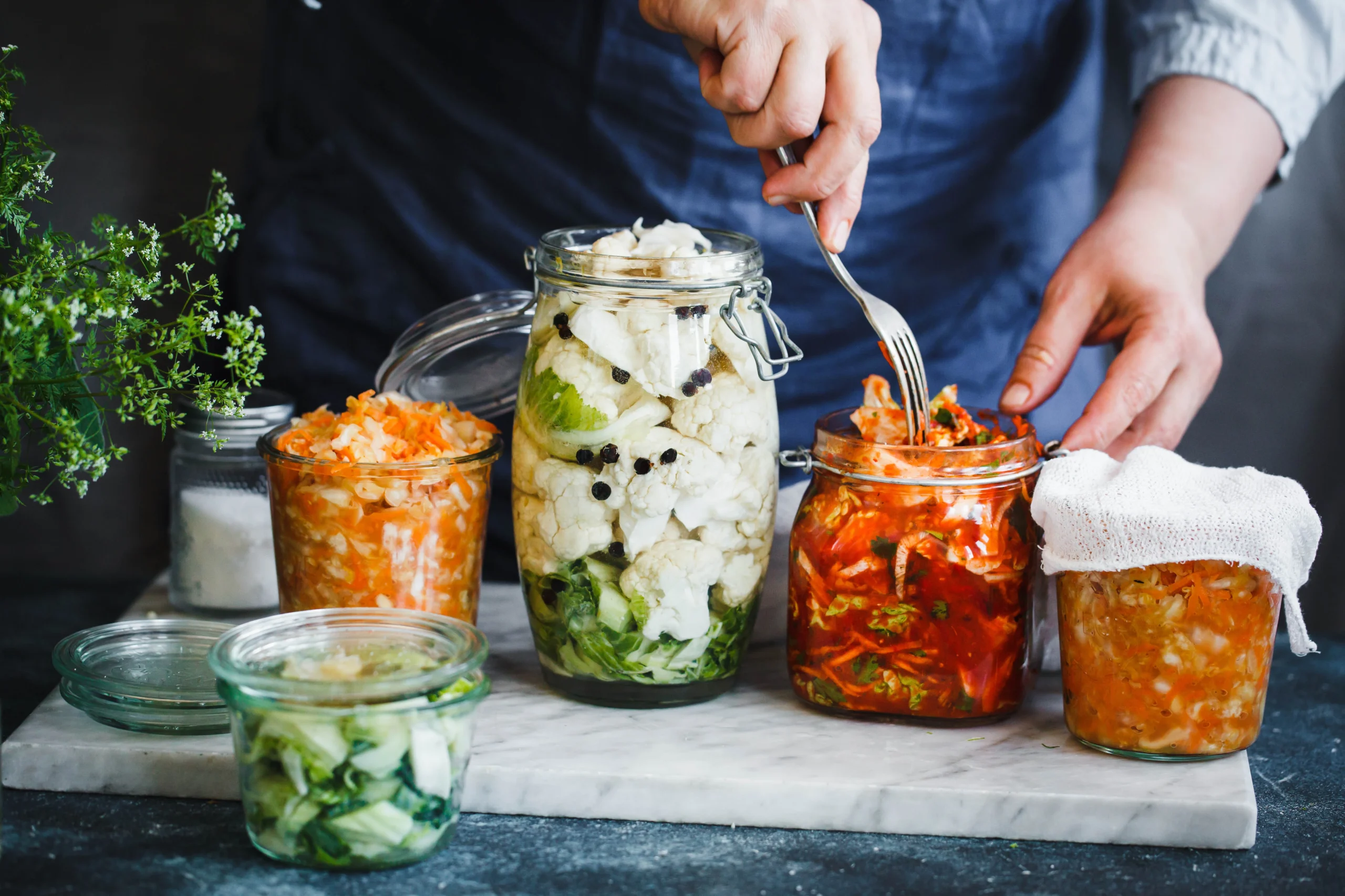 soluma makanan fermentasi