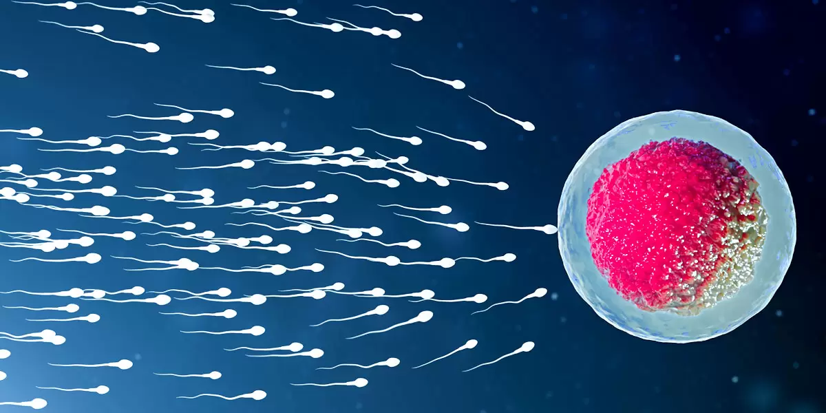 vertomen kerusakan dna sperma